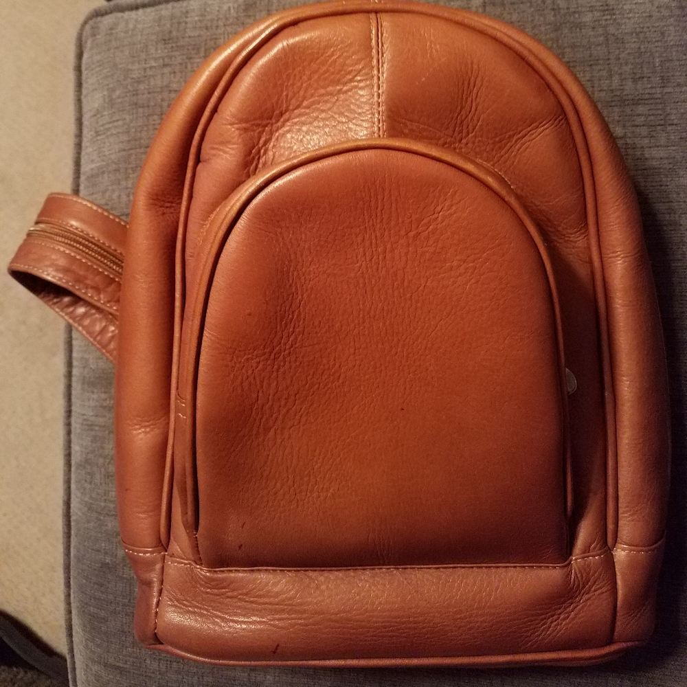Small Genuine Leather Backpack